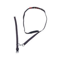 Rangers Nylon Dog Collar And Leash Set 1 Inch