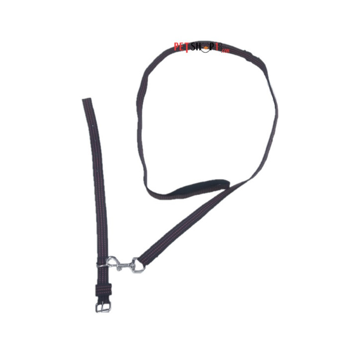 Rangers Nylon Dog Collar And Leash Set 1 Inch