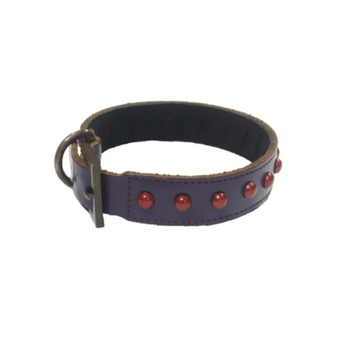 Rangers Leather Canine Collar 1 Inch